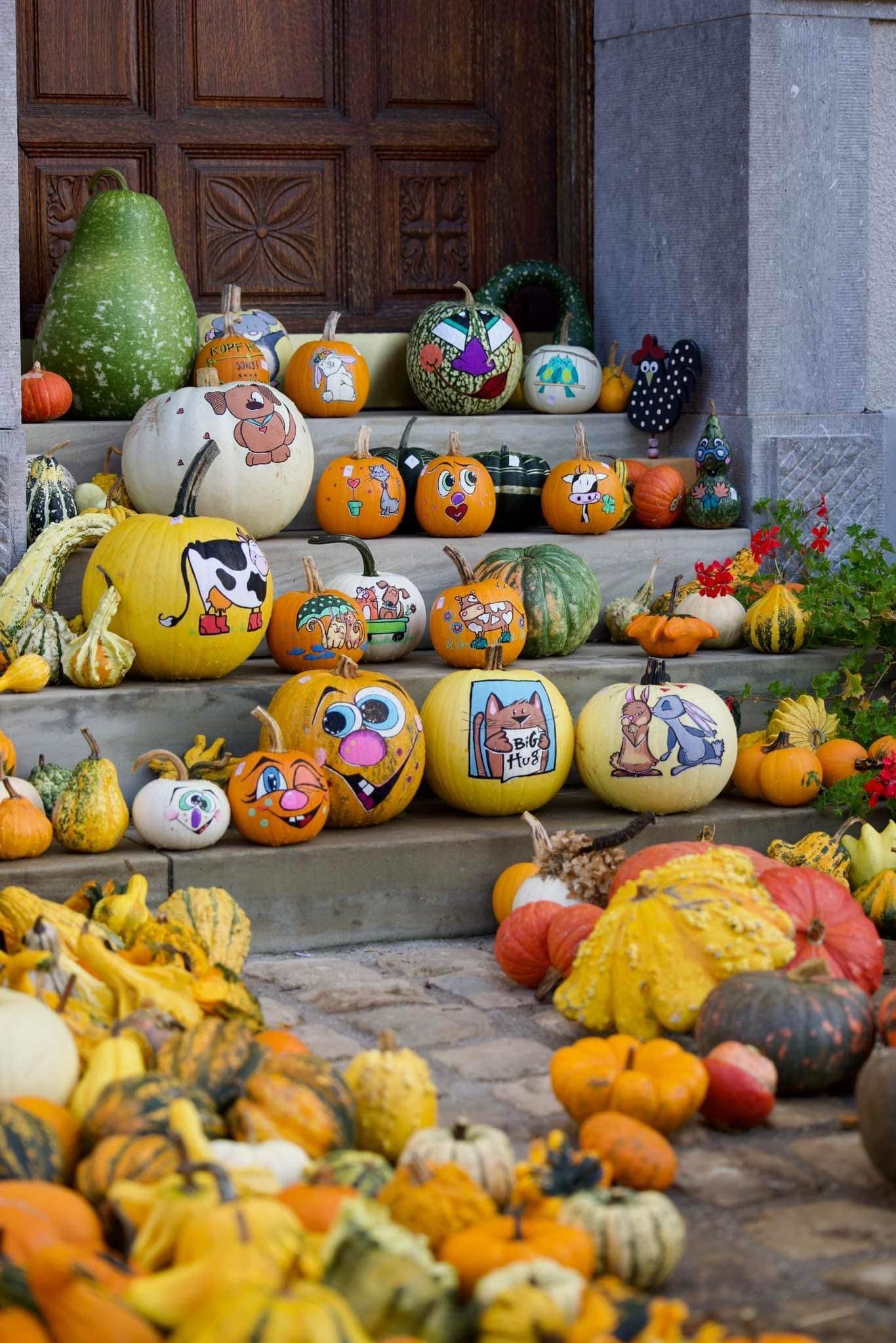 Halloween approche : déniche ta citrouille ! - 3