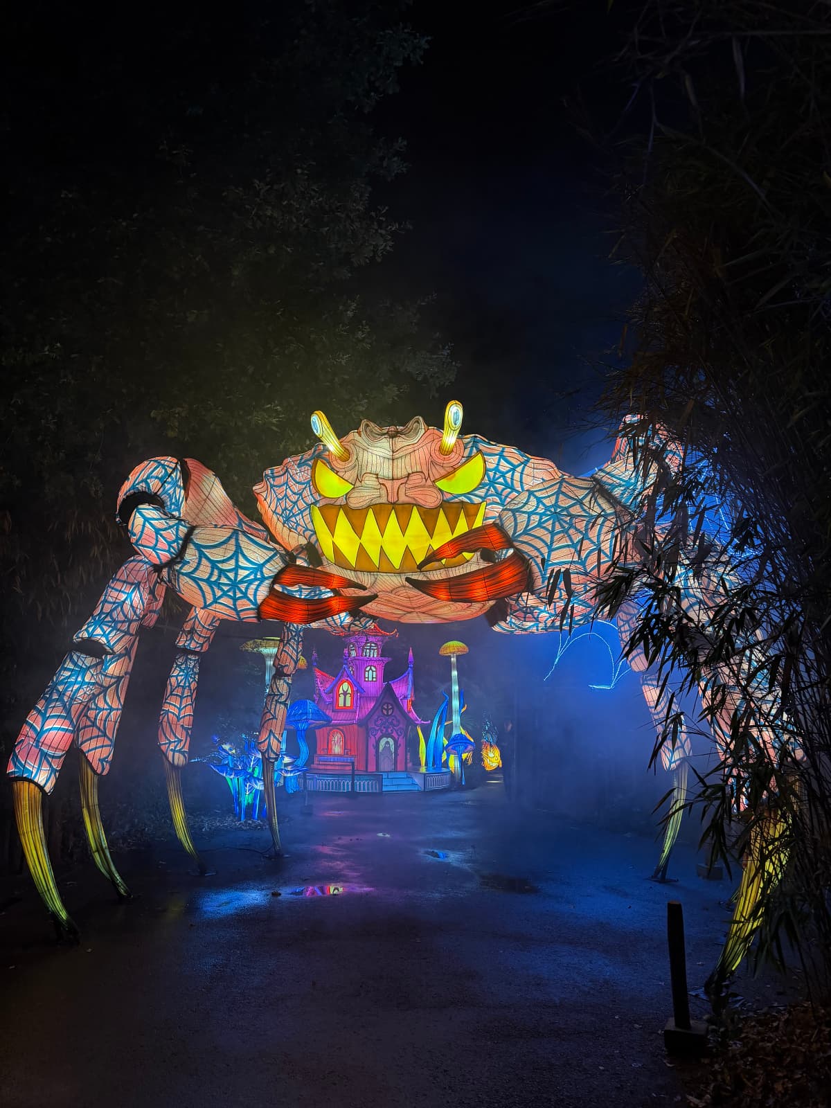 Luminescences - L’un des plus grands festivals de lanternes d’Europe - 4