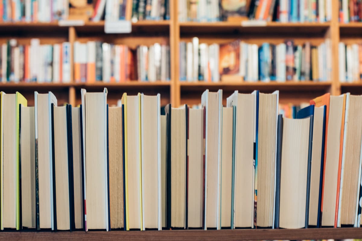 Reading and activity “Little Felix’s Big Journey”