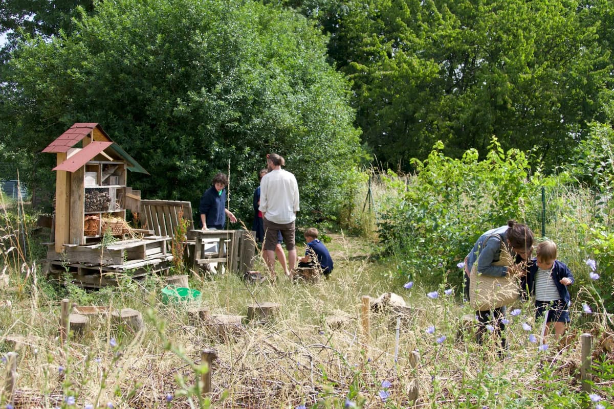Shared Garden