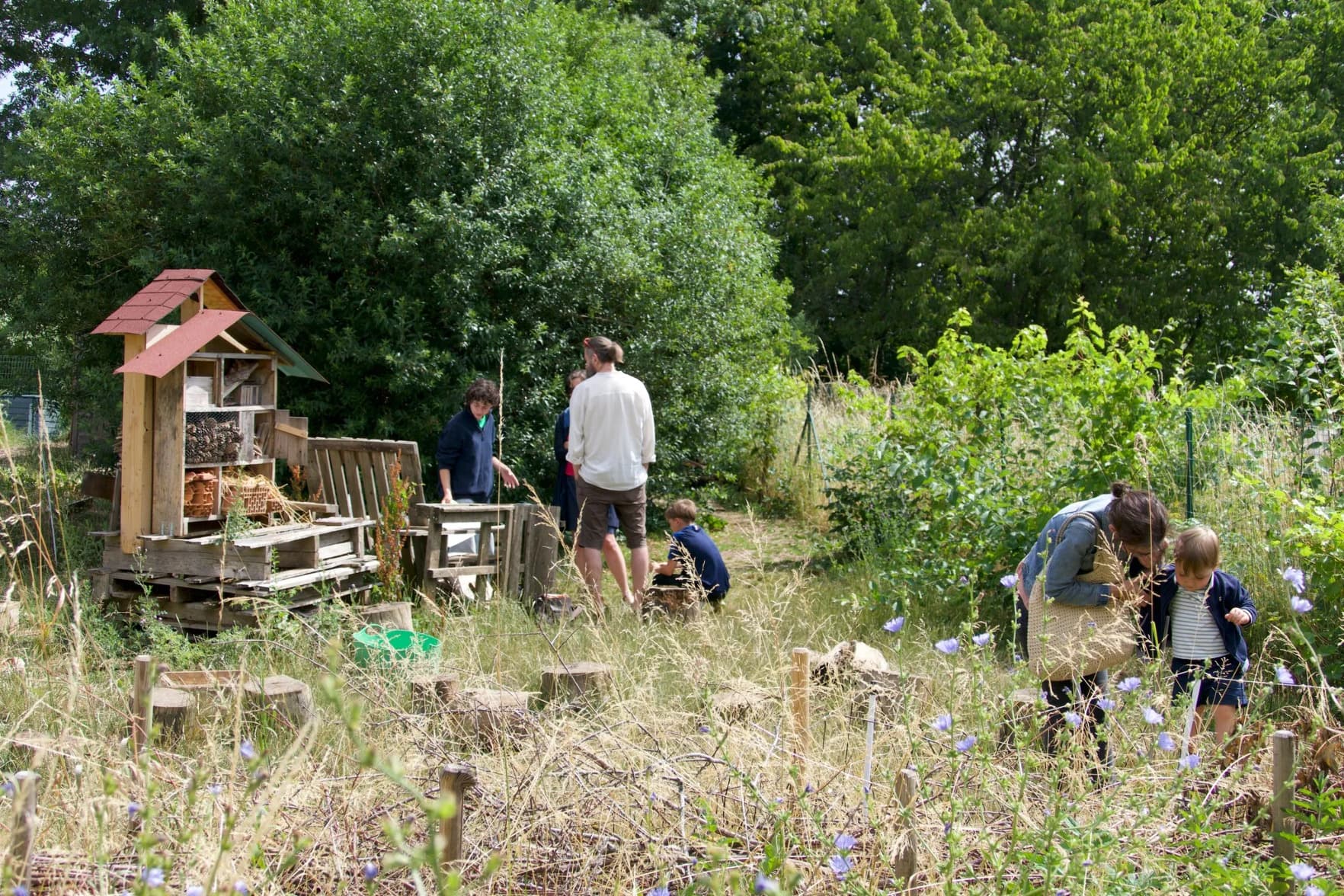 Shared Garden