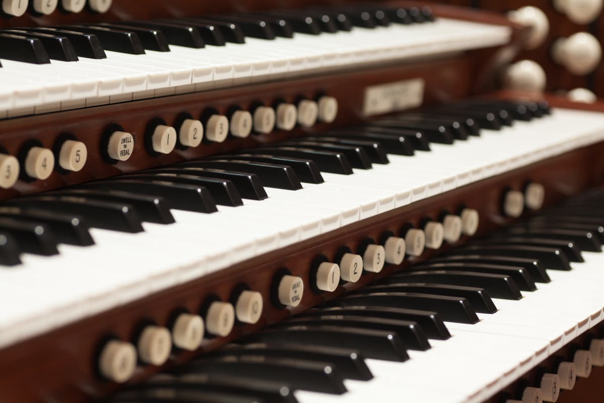 Musical evenings return to the Royal Lounge