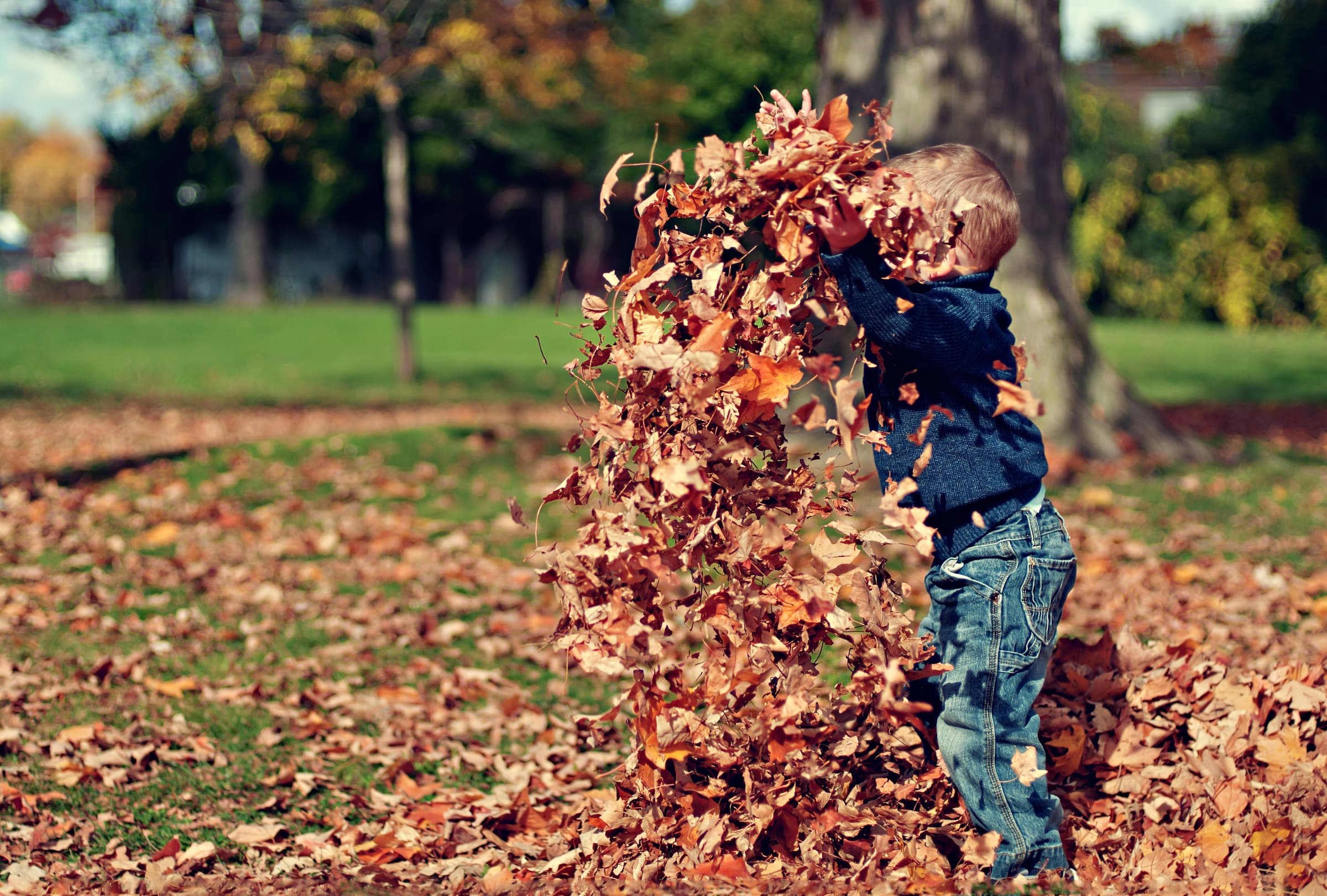 Le Château de Sierck s'enchante