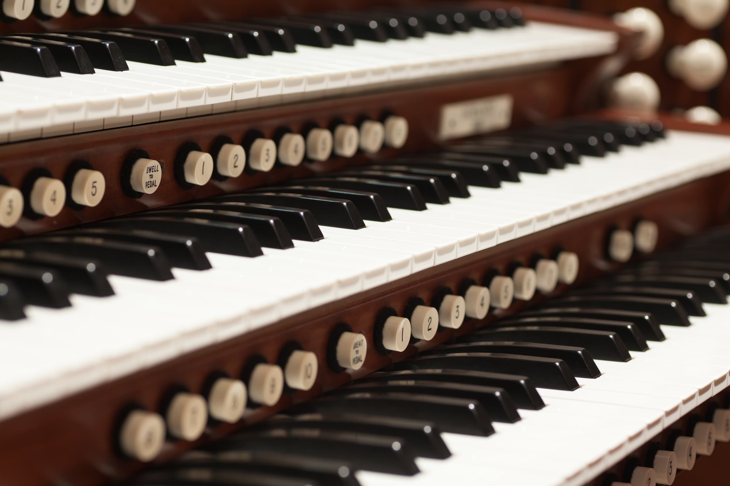 Exhibition opening – Autour de la musique –