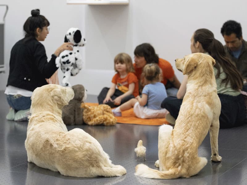 Visite doudou « Lun...di, mar...di, mercre...di, ... »
