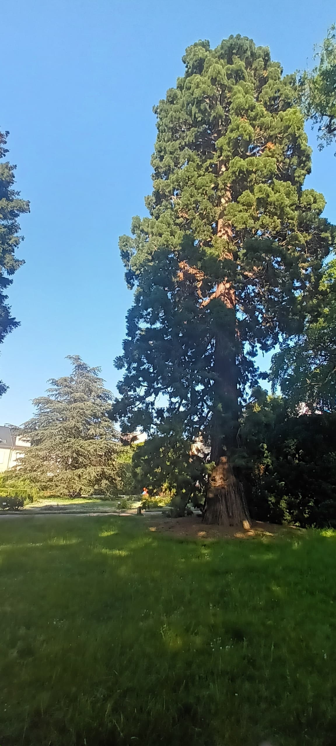 Sophro walk at the Botanical Garden