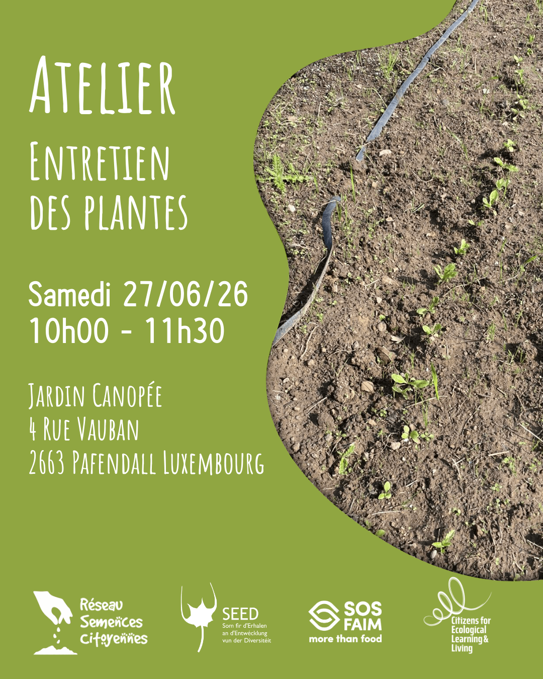 Plant care workshop
