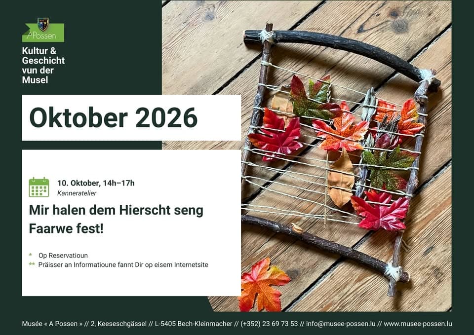 Nous capturons les couleurs de l'automne !
