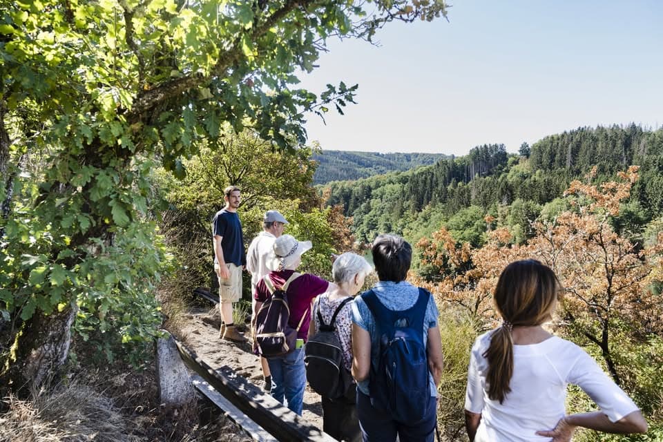 Hiking with a nature park ranger