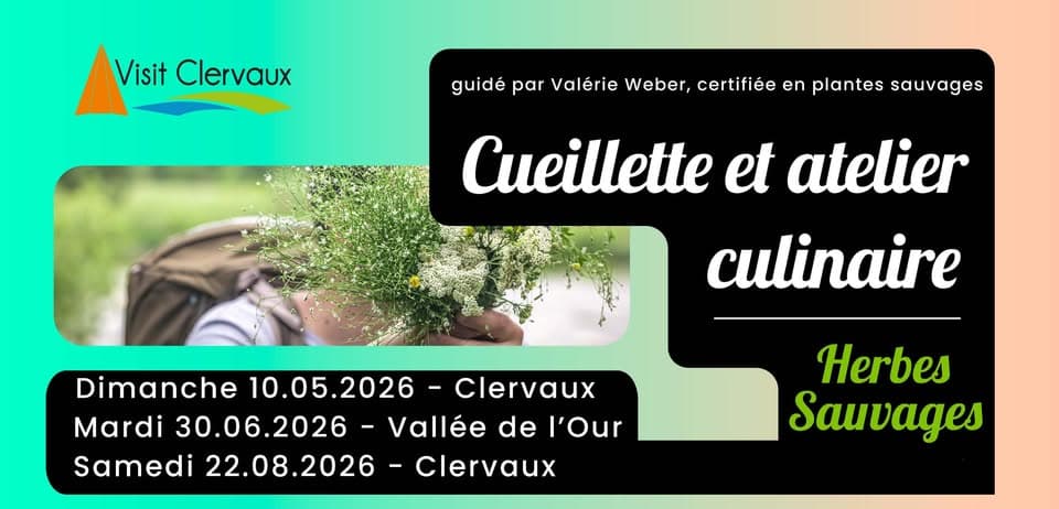Clervaux Letz Breathe - Cueillette et atelier culinaire autour des plantes sauvages