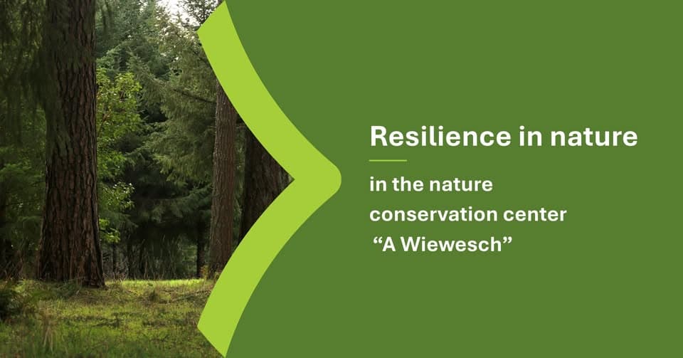 Résilience dans la nature