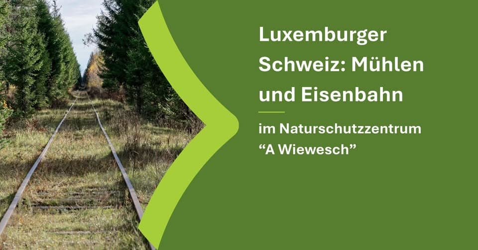 Luxembourg's Little Switzerland: Mills and Railway (8.5 km)