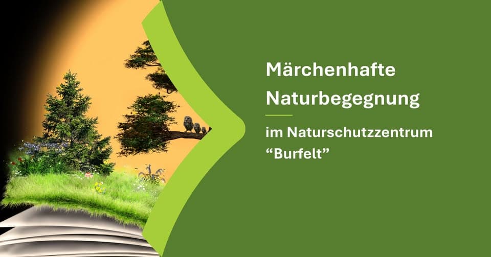 Fairytale Nature Encounter