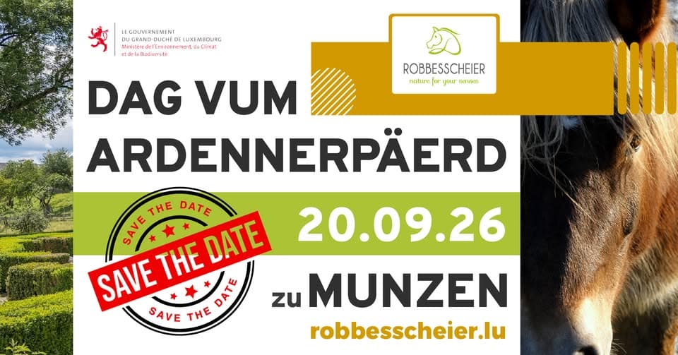 Dag vum Ardennerpäerd 2026 – Ardennes Horse Day!
