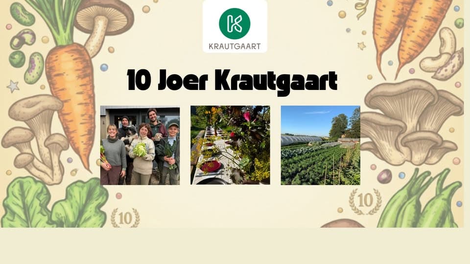 10 Years of Krautgaart
