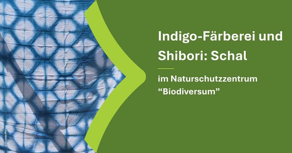 Indigo Dyeing and Shibori: Scarf