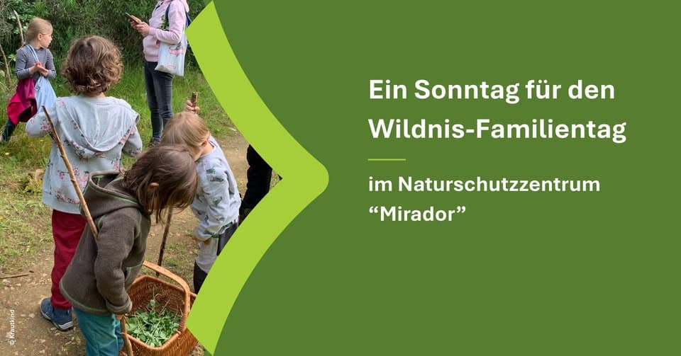 Une journée en famille dans la nature sauvage