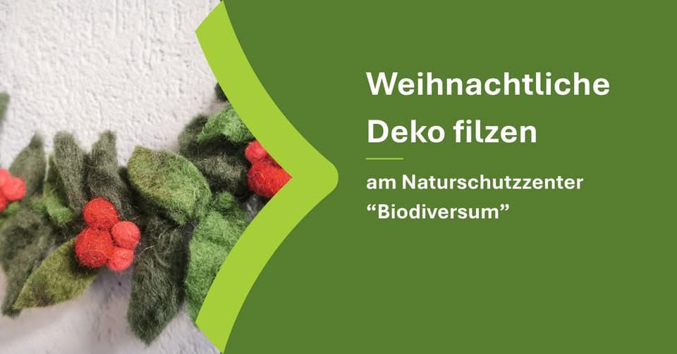 Felting Christmas Decorations