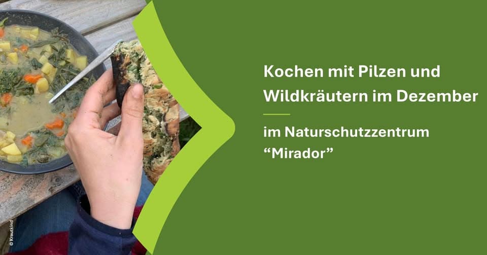 Cooking with mushrooms and wild herbs in December