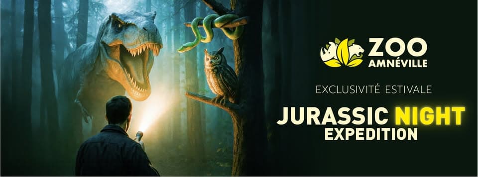 Nocturnes - Jurassic Night Expedition