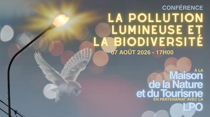 Free conference “Light pollution and biodiversity”