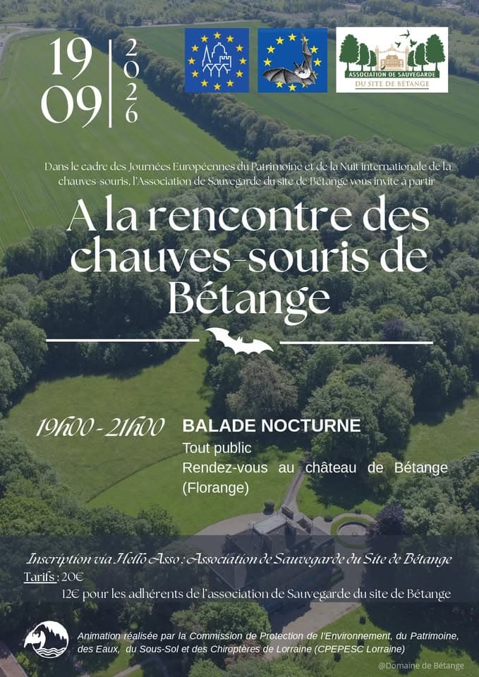 Meet the bats of Bétange