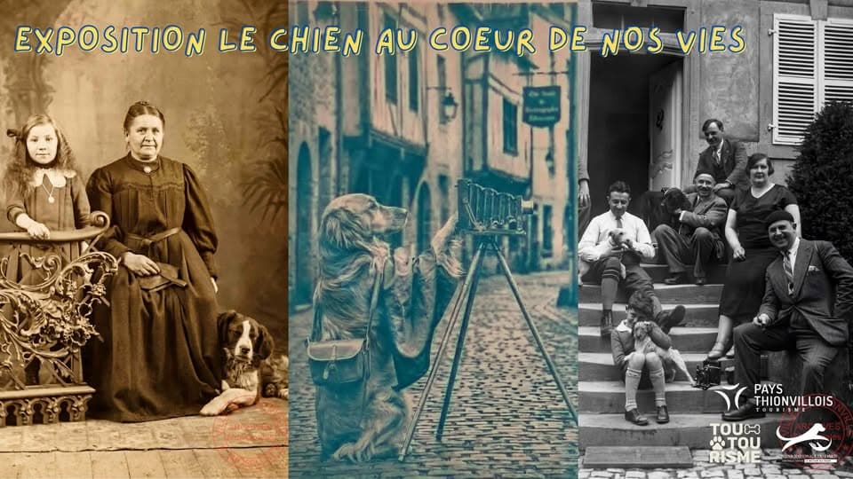 Exhibition The dog at the heart of our lives