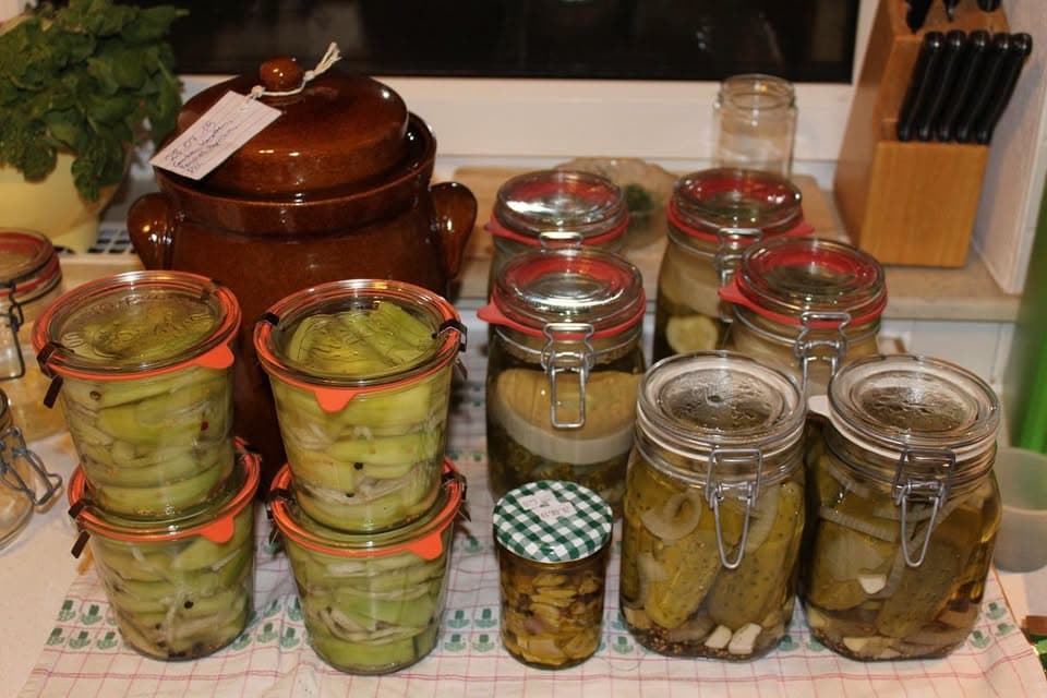 Lacto-fermentation workshop