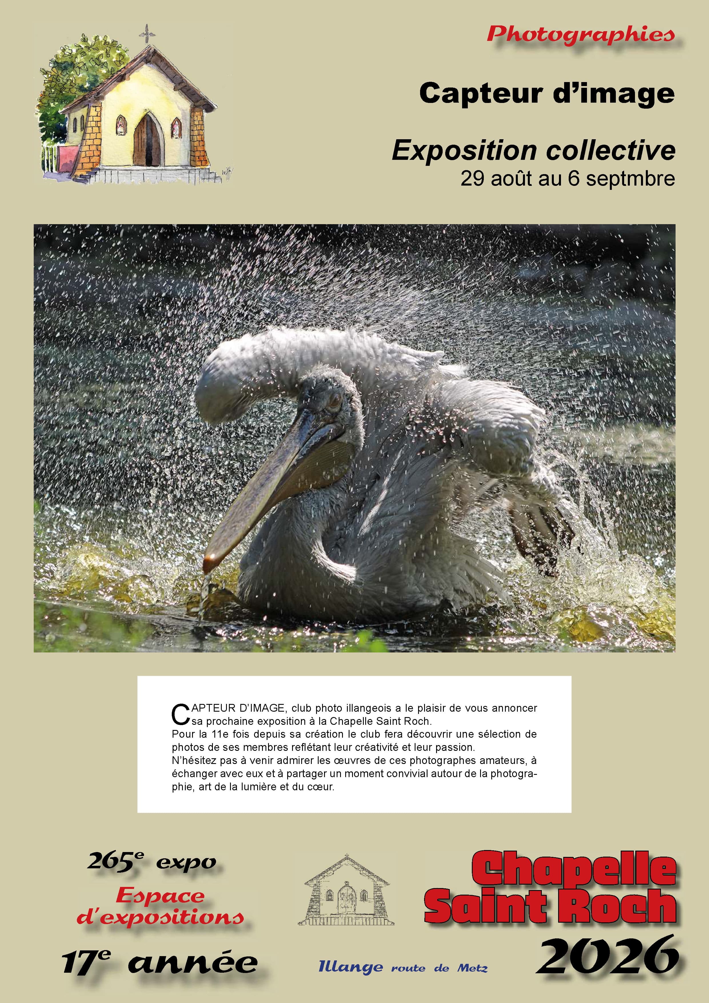 Capteur d'image exhibition