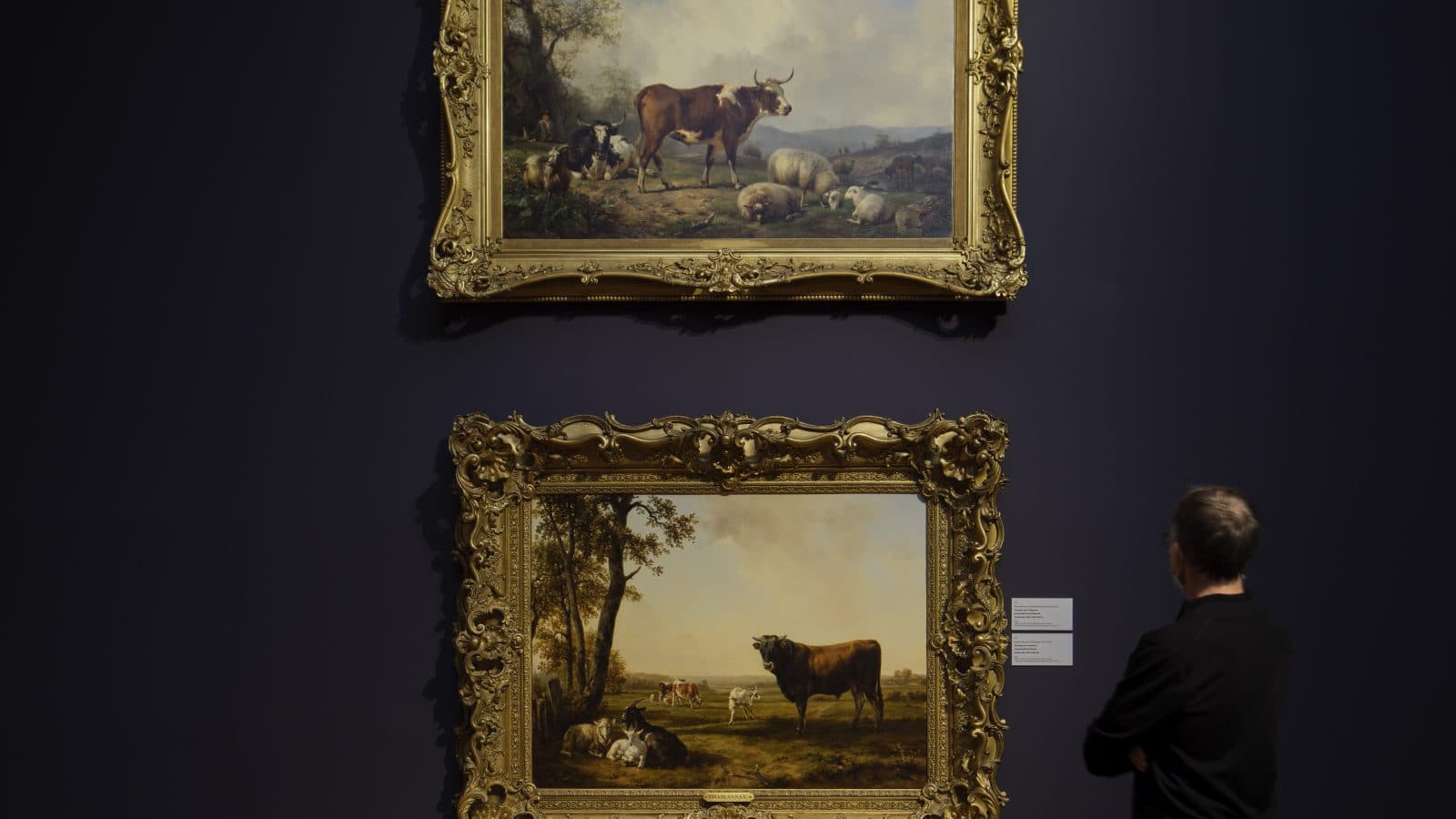Regular guided tour: A walk through art
