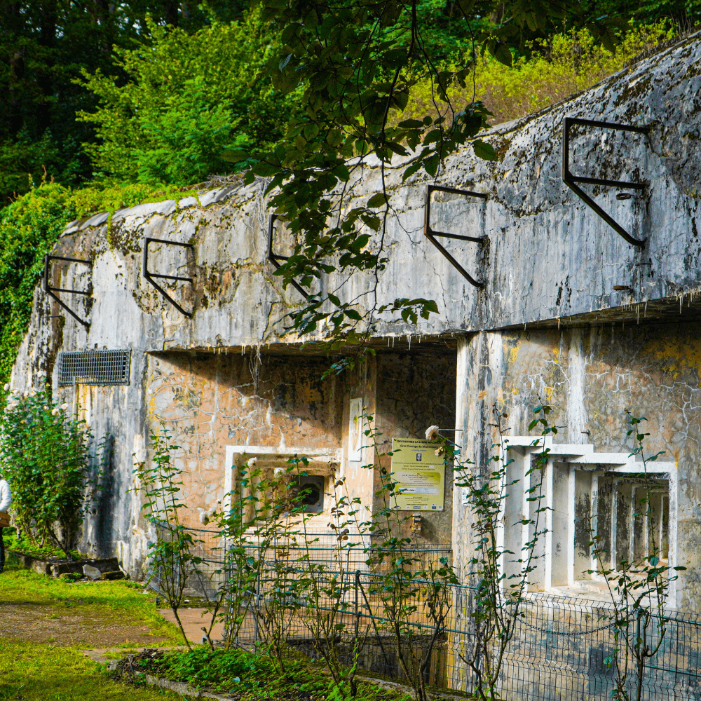 Visite guidée du Michelsberg