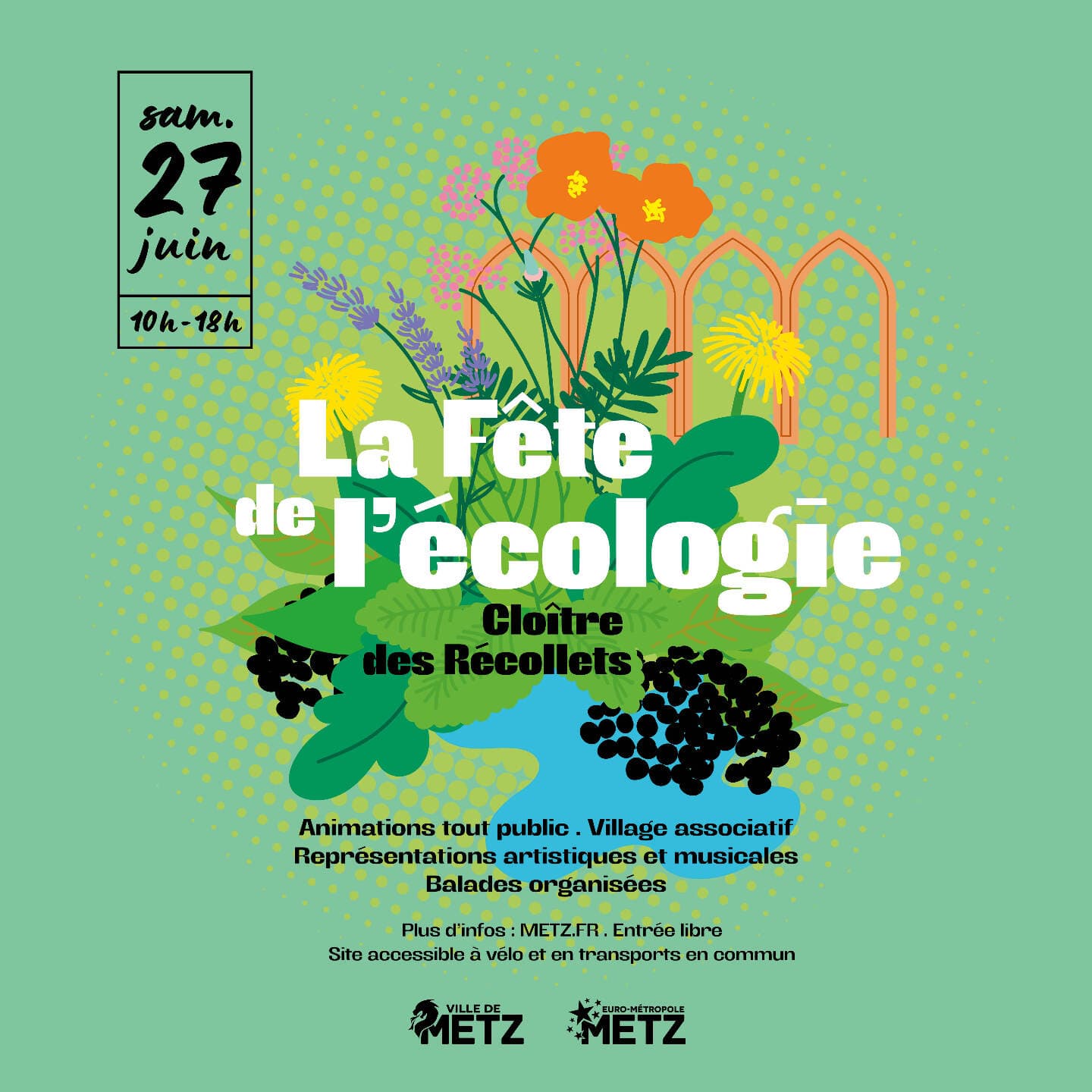 Ecology Festival