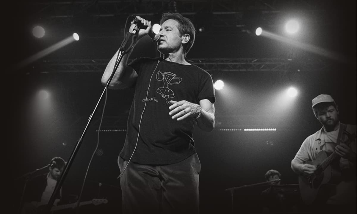 David Duchovny - concert pop