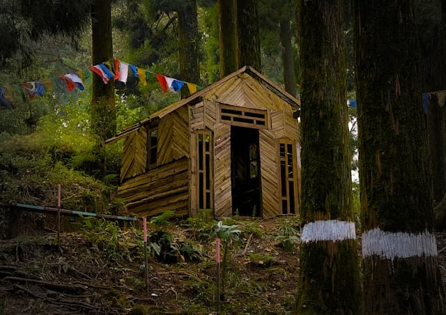 Nature Day - Your Cabin in the Forest