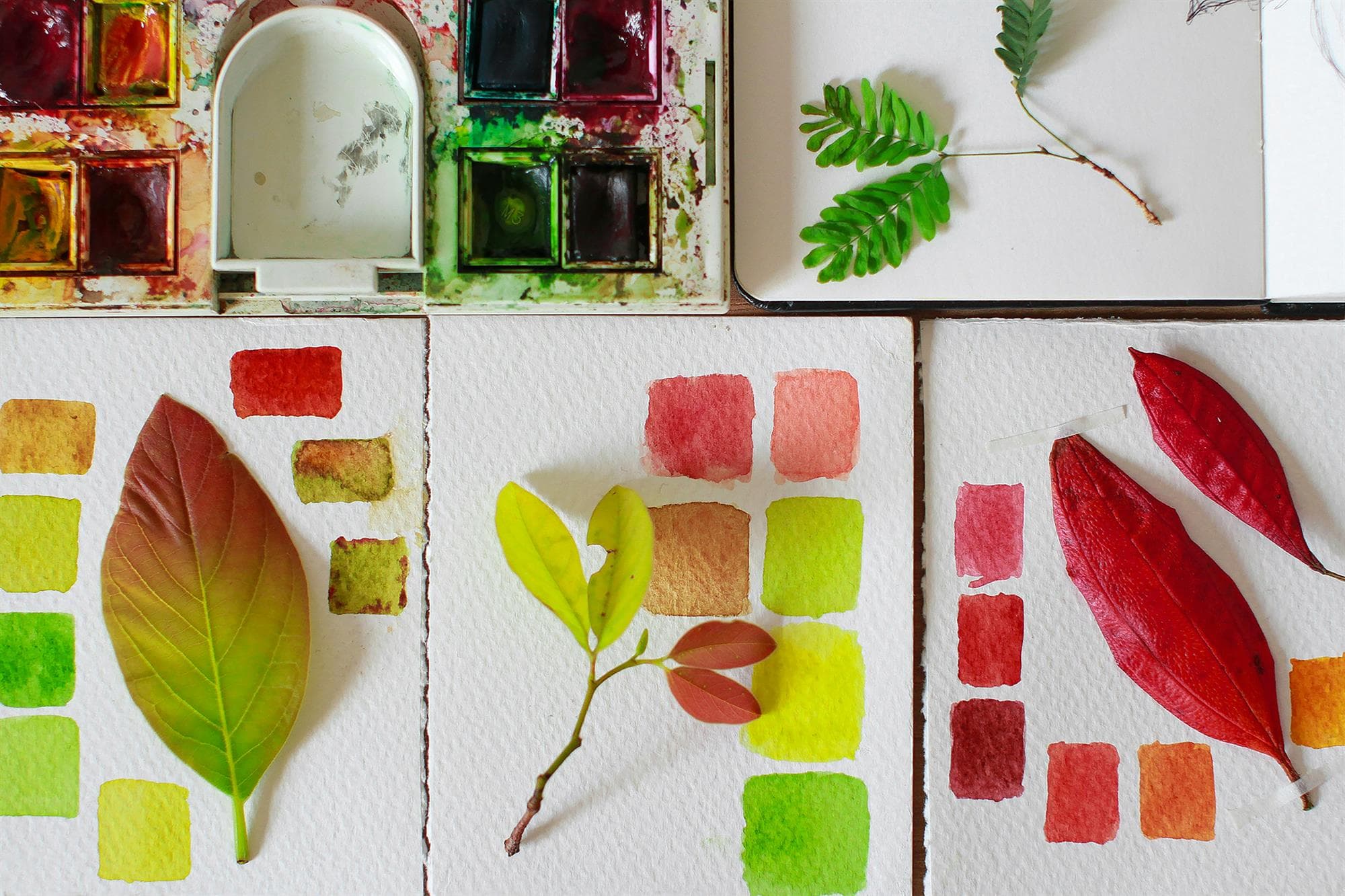 Récré nature - Plant-based Paints