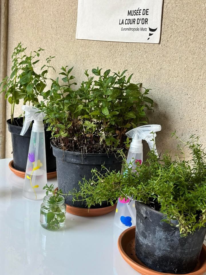 Family Workshop: Take Root!