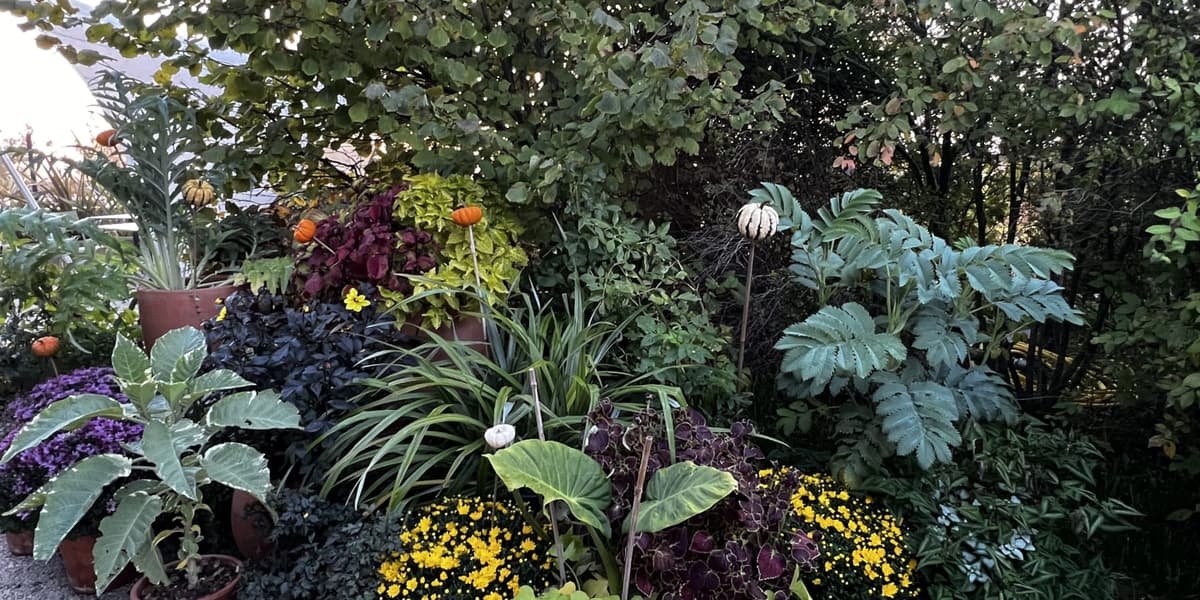 Workshop: Cuttings and Divisions
