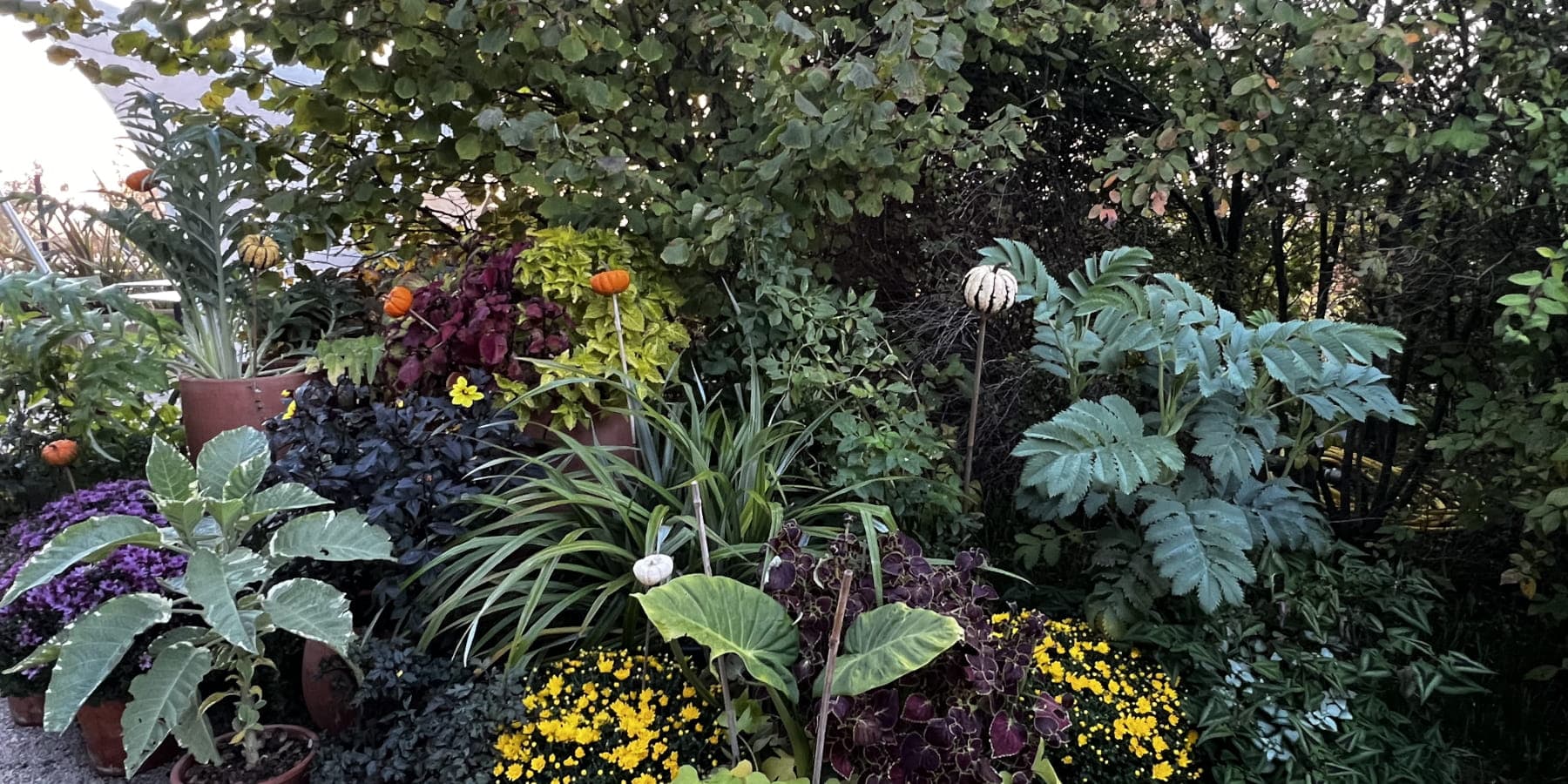 Workshop: Cuttings and Divisions