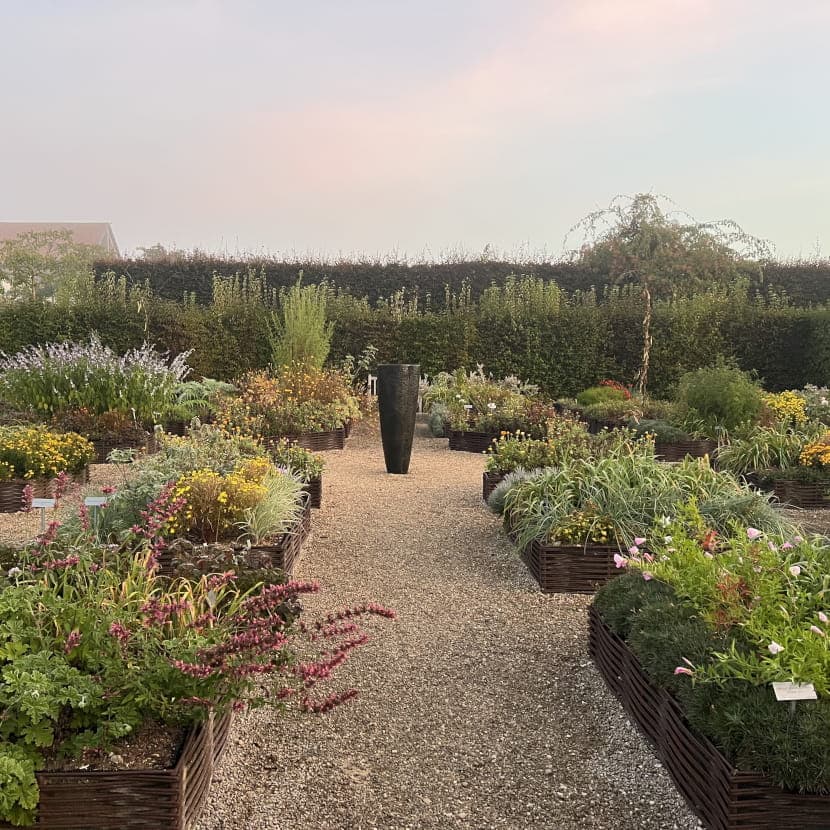 Workshop: A beautiful and edible garden!