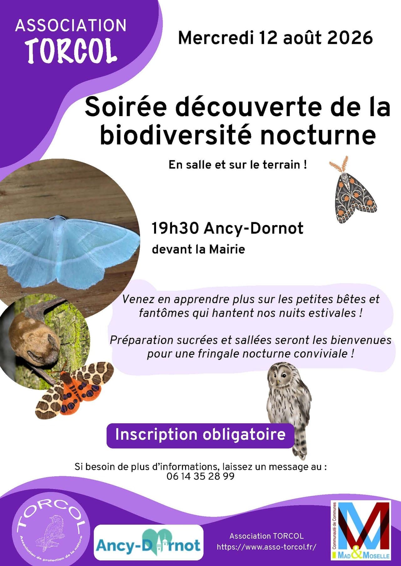 Evening discovery of nocturnal biodiversity