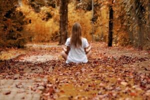 Bain de forêt et sylvothérapie – expérience immersive