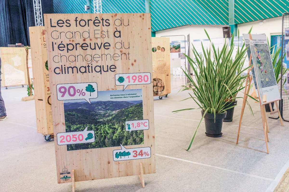 Forests of Grand Est Facing Climate Change