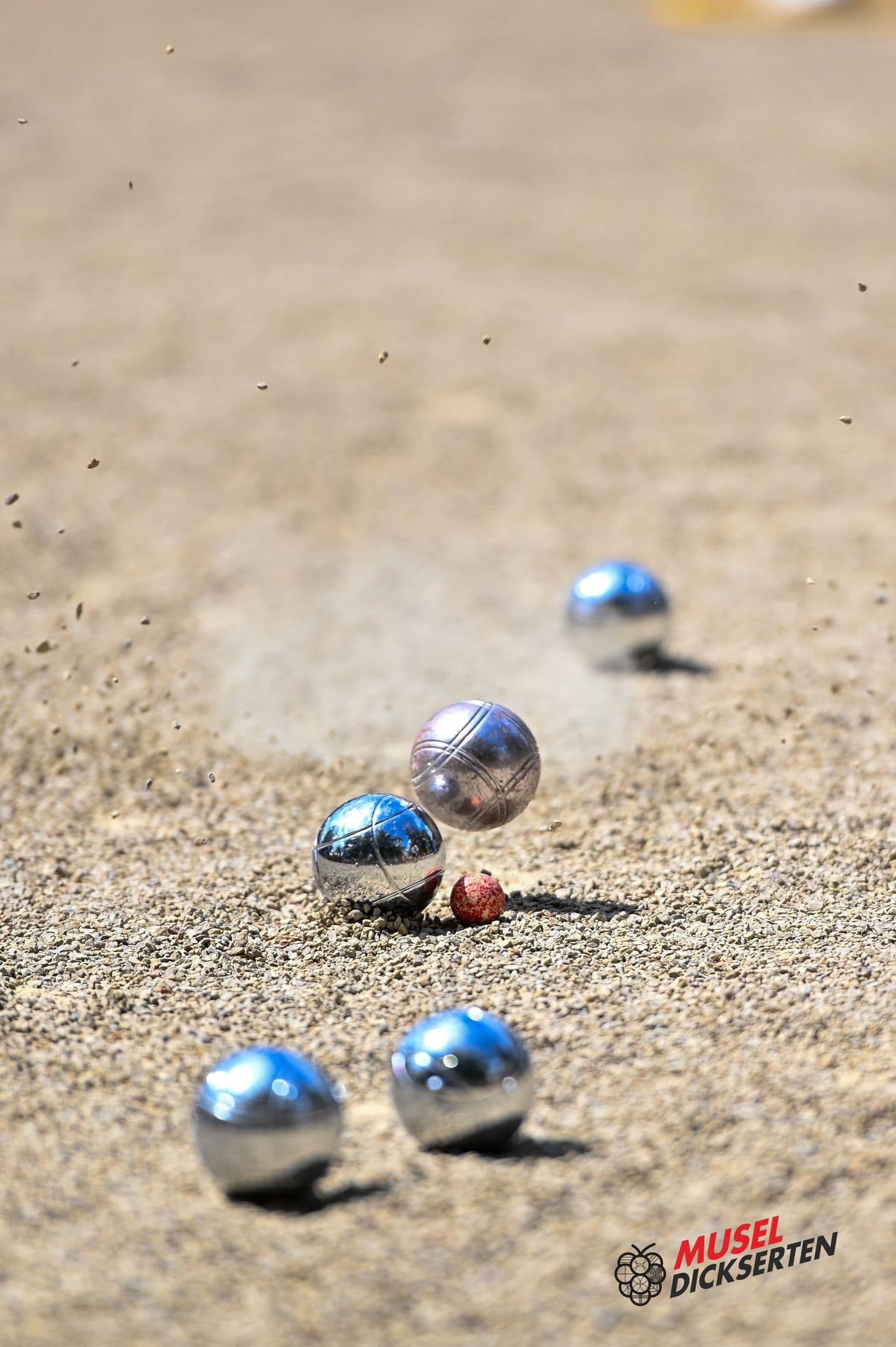 Tournoi de pétanque