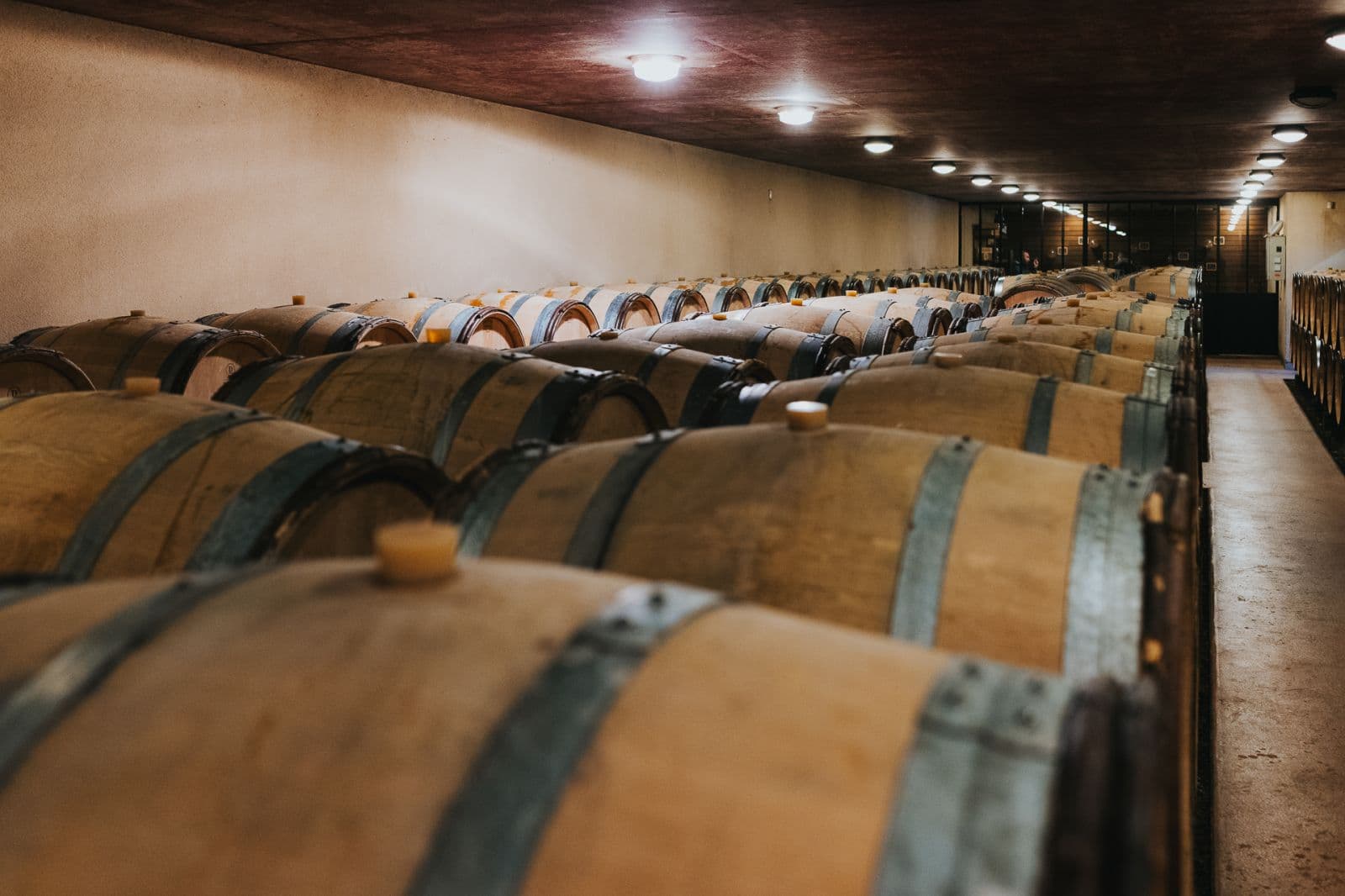 Bourgogne Tasting
