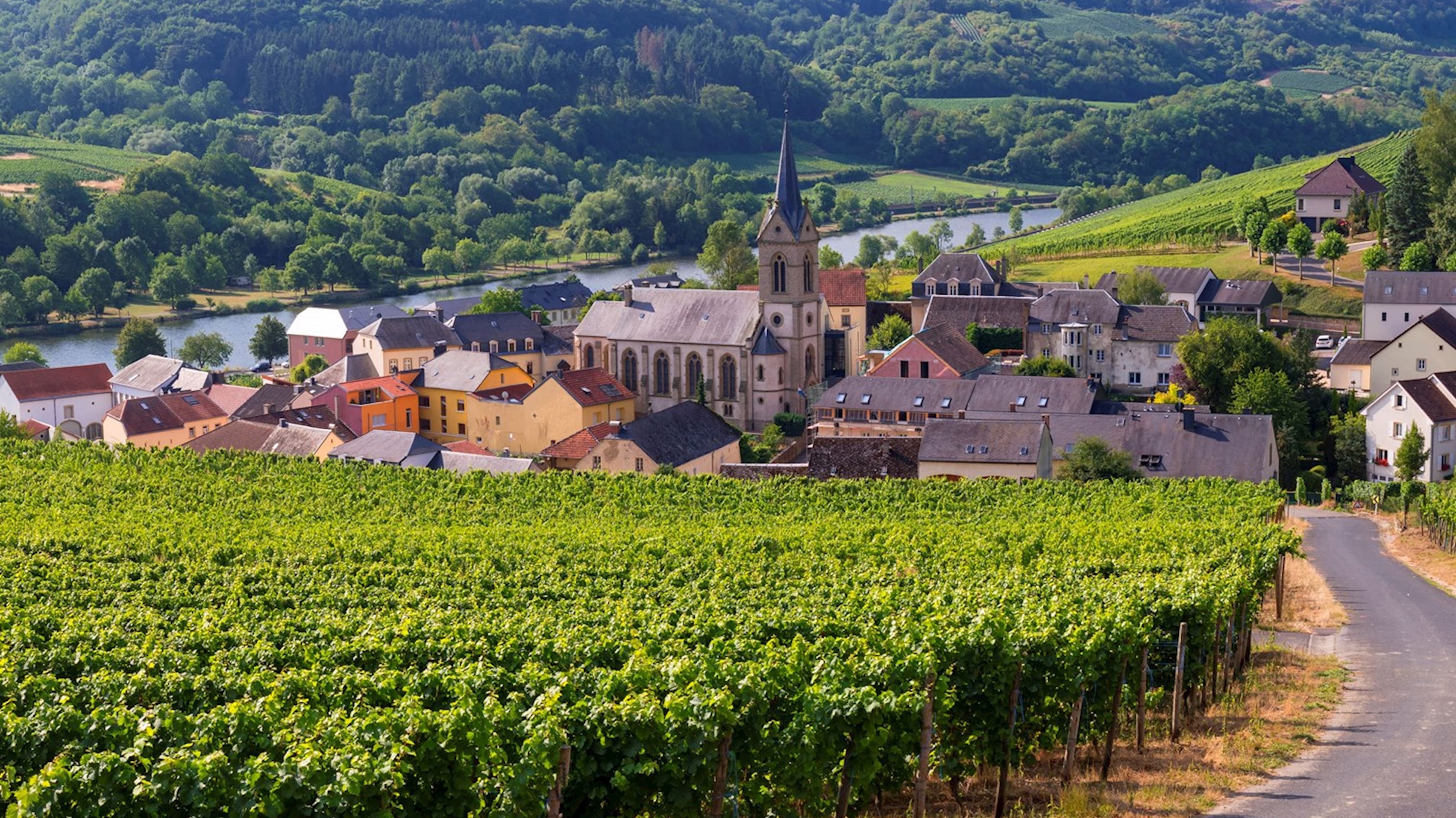 Apéritif dans les vignes et déjeuner dans les caves à vin