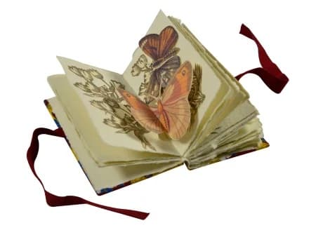 Artists' Books: Nature at Work