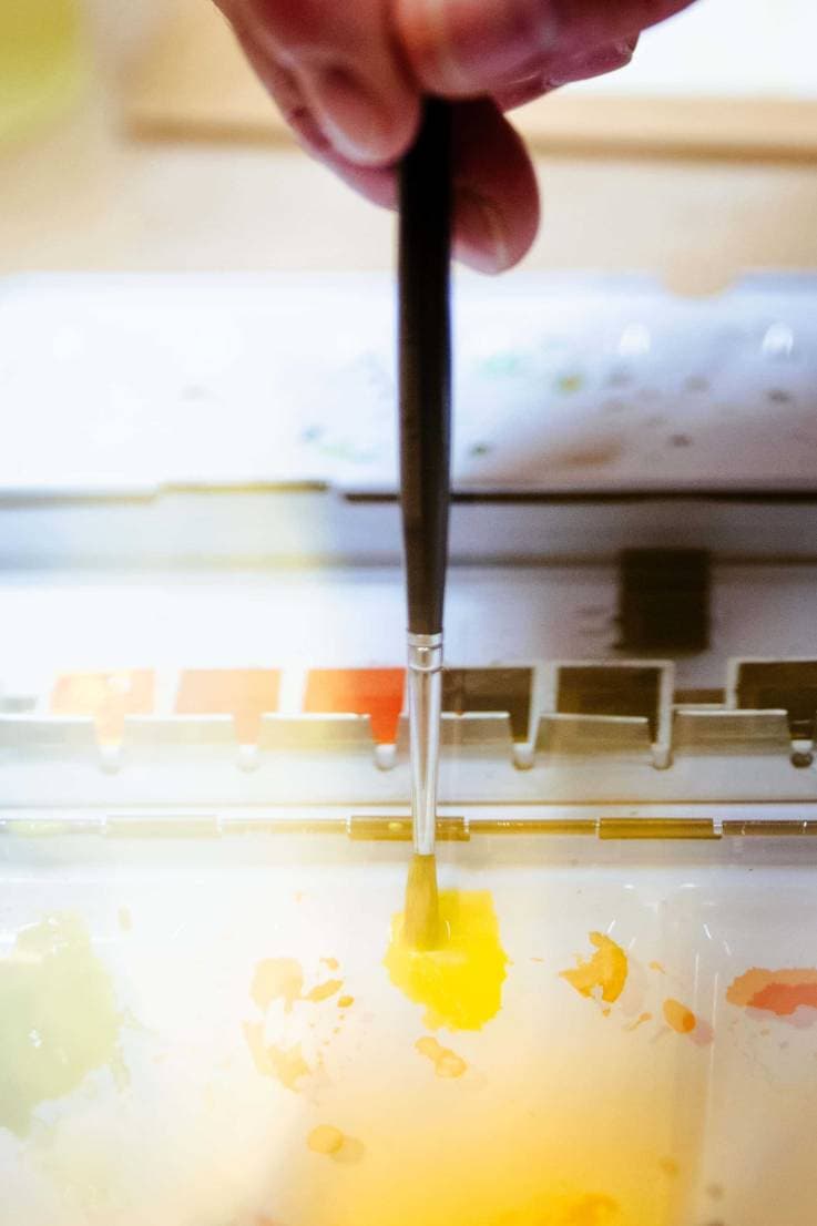 Watercolour workshop: Practice and exploration