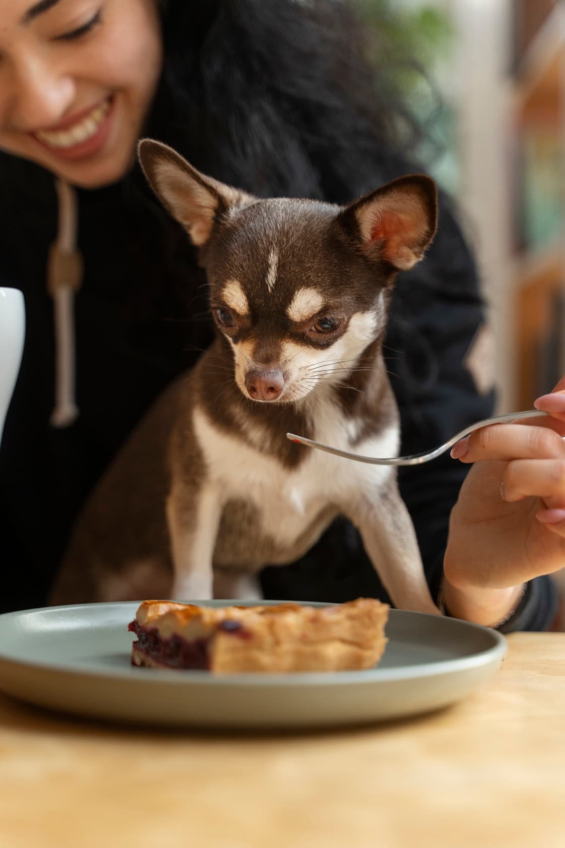 Dîner dog-friendly
