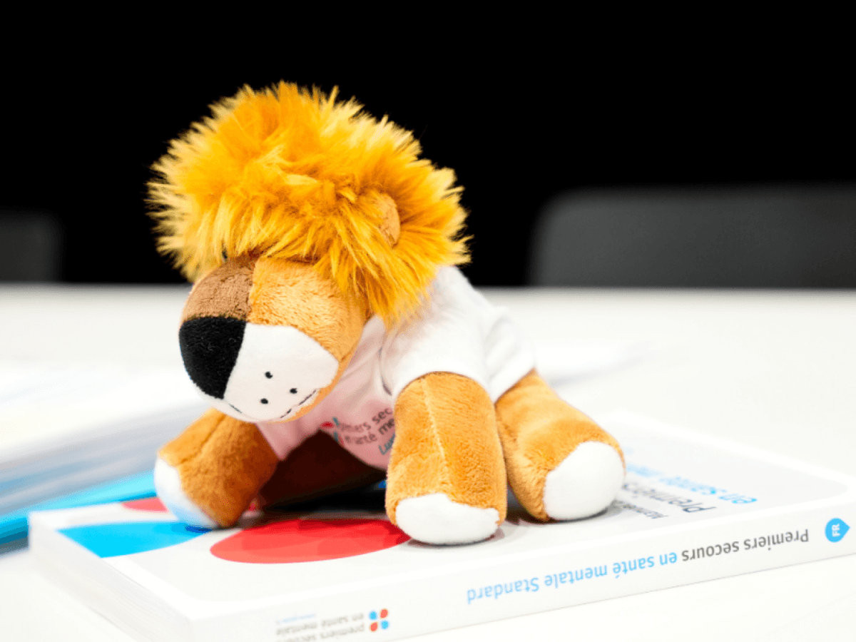 Mental Health First Aid Course for Teenagers in Luxembourgish