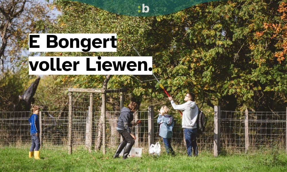 En Dag am Bongert
